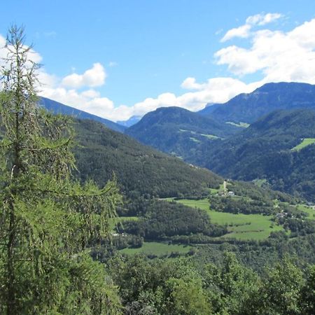 巴比亚诺Bio Kraeuterhof Oberpalwitter公寓 外观 照片